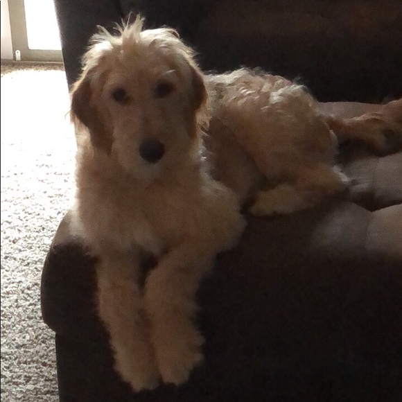 Meet your Posher, Katie - Picture 6 of 7